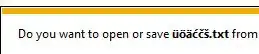 IE 9 Fixed