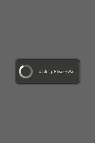 Snapshot of app while starting