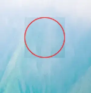 bug