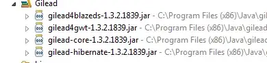 Image 1 on Laptop