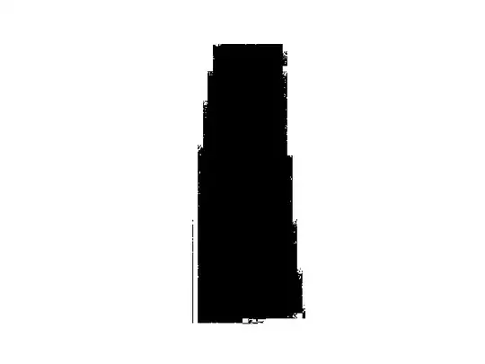 Binary Image