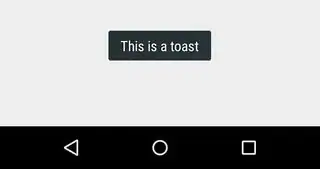 rectangle toast